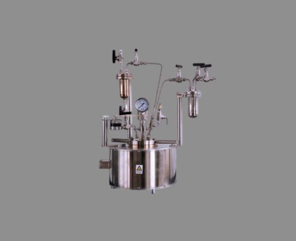 双路混气等压加料机械搅拌高压反应釜